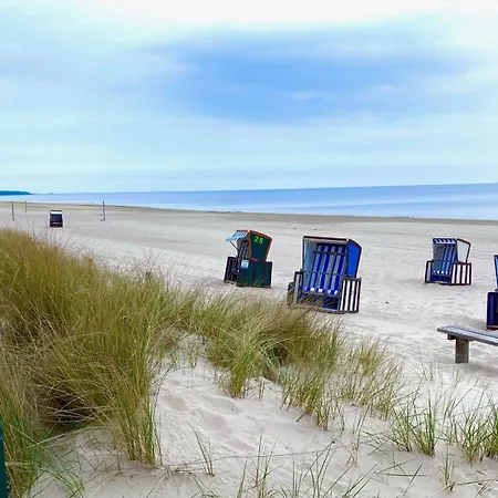 Finnhuette Im Kiefernwald, Ruhe Und Pur Fuer Entspannte Tage - Mica Casa vacanze Trassenheide