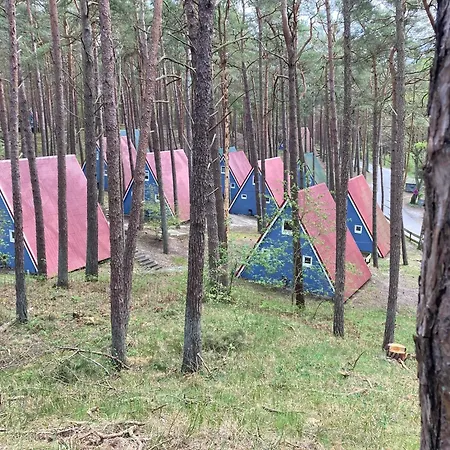 Finnhuette Im Kiefernwald, Ruhe Und Pur Fuer Entspannte Tage - Mica
