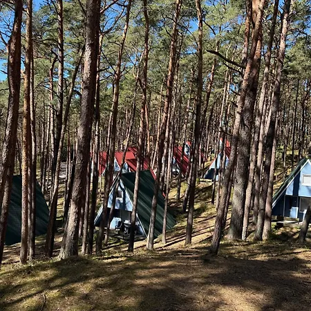 Finnhuette Im Kiefernwald, Ruhe Und Pur Fuer Entspannte Tage - Mica בית נופש *